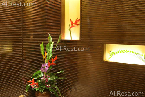 Patong Paragon Hotel 31